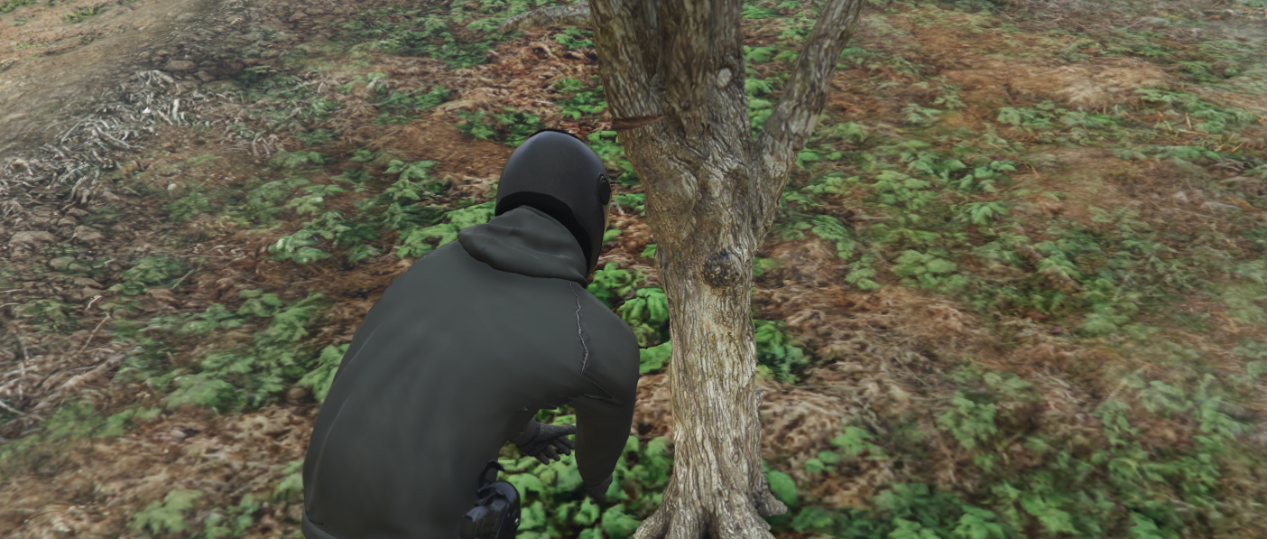 Fruit plukken voor extractie