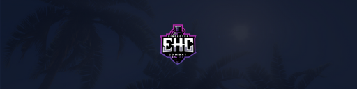 Overname en samenwerking met Eindhoven Combat